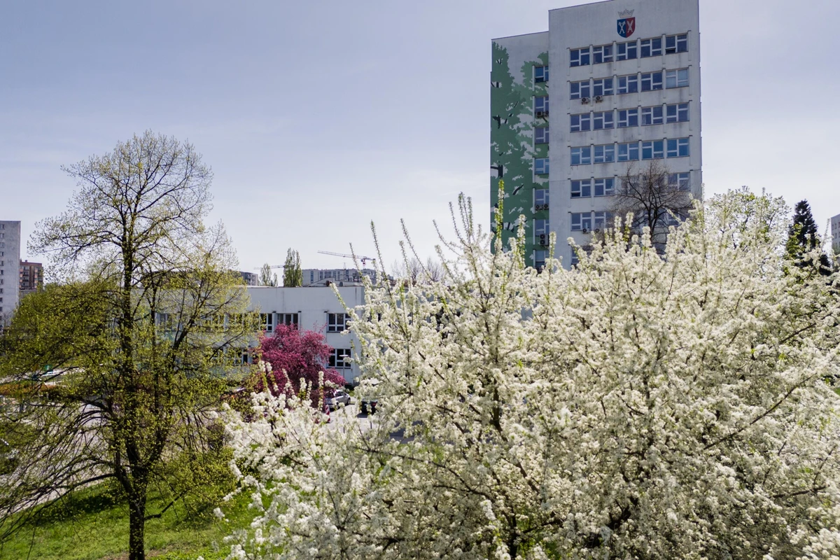 kampus