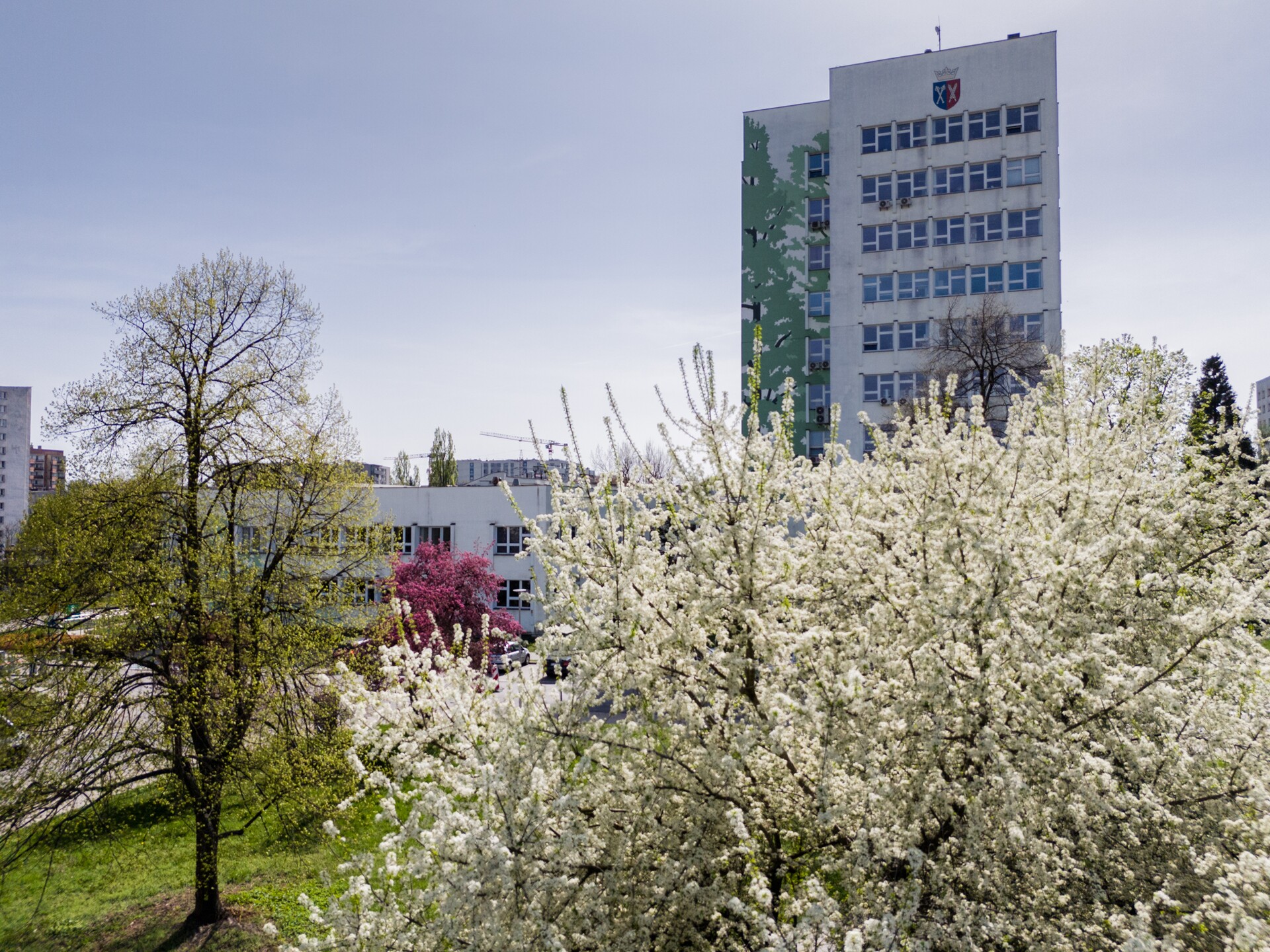 kampus